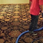 Phoenix Carpet Cleaner on on a carpet cleaning job