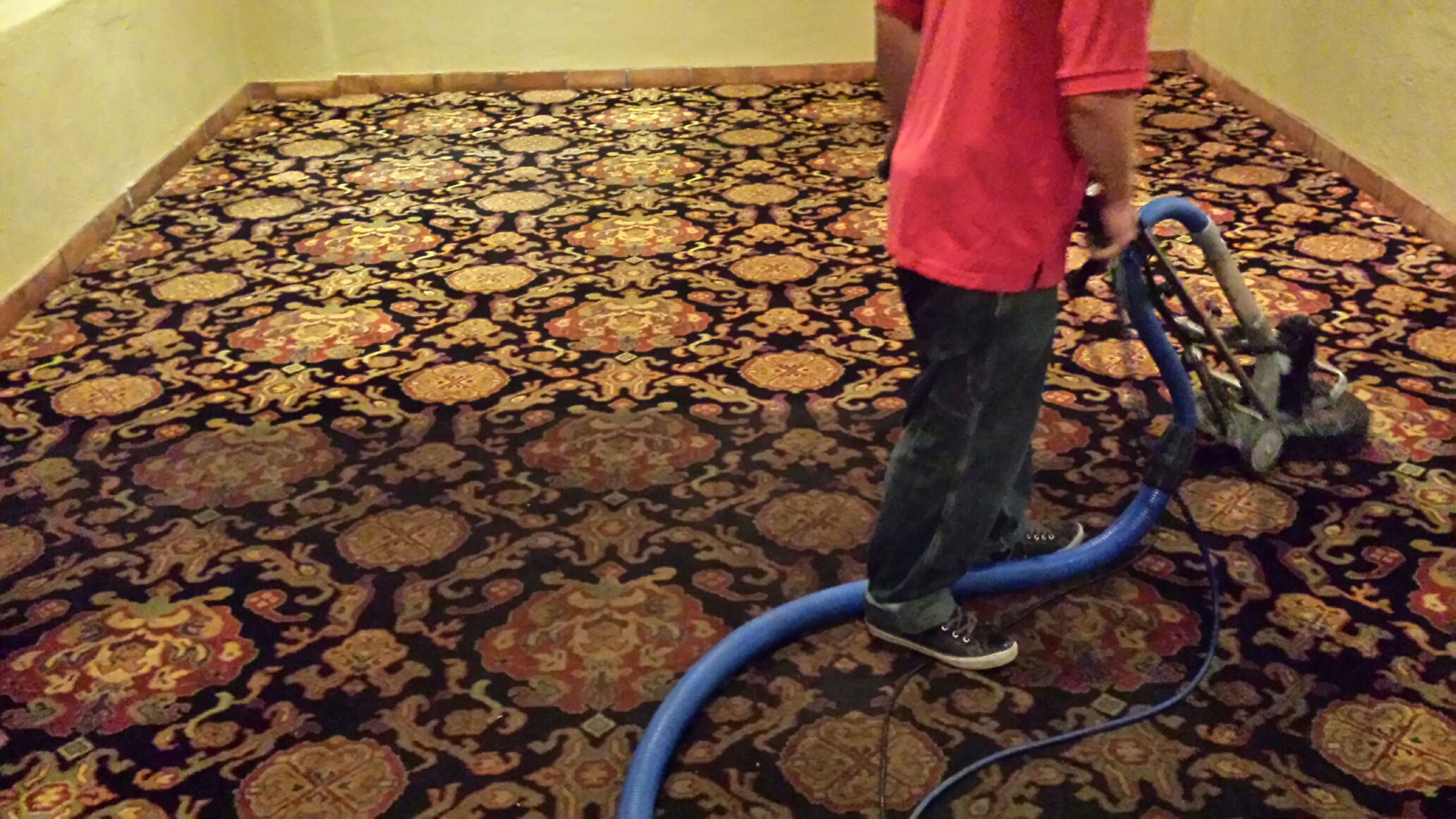 Carpet Cleaning Services Available In Phoenix Az